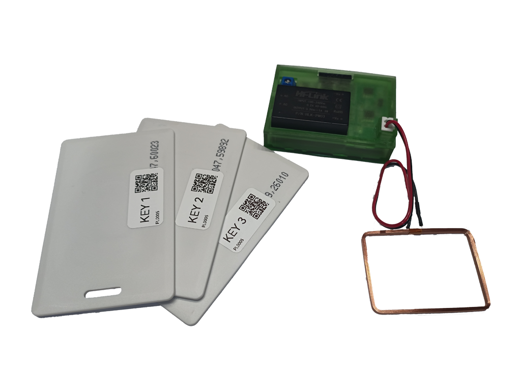 Rilevatore NFC 125 kHz WiFi compreso di 3 Card Codificate - IOT0201